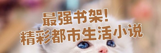 最強書架！精彩都市生活小說